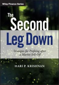 The Second Leg Down: Strategies for Profiting after a Market Sell–Off 英文版   期权对冲 投资组合 风险策略