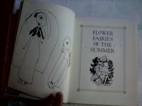 The Complete Book of the Flower Fairies    英文原版    花仙子全集    铜版纸彩印