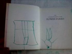 The Complete Book of the Flower Fairies    英文原版    花仙子全集    铜版纸彩印