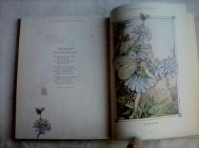 The Complete Book of the Flower Fairies    英文原版    花仙子全集    铜版纸彩印