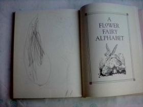 The Complete Book of the Flower Fairies    英文原版    花仙子全集    铜版纸彩印