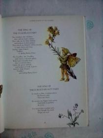 The Complete Book of the Flower Fairies    英文原版    花仙子全集    铜版纸彩印