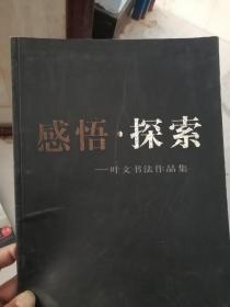 感悟 探索:叶文书法作品集