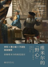 维米尔的野心 中央美术学院李军、黄小峰、于润生联袂推荐，拆解维米尔的视觉迷宫