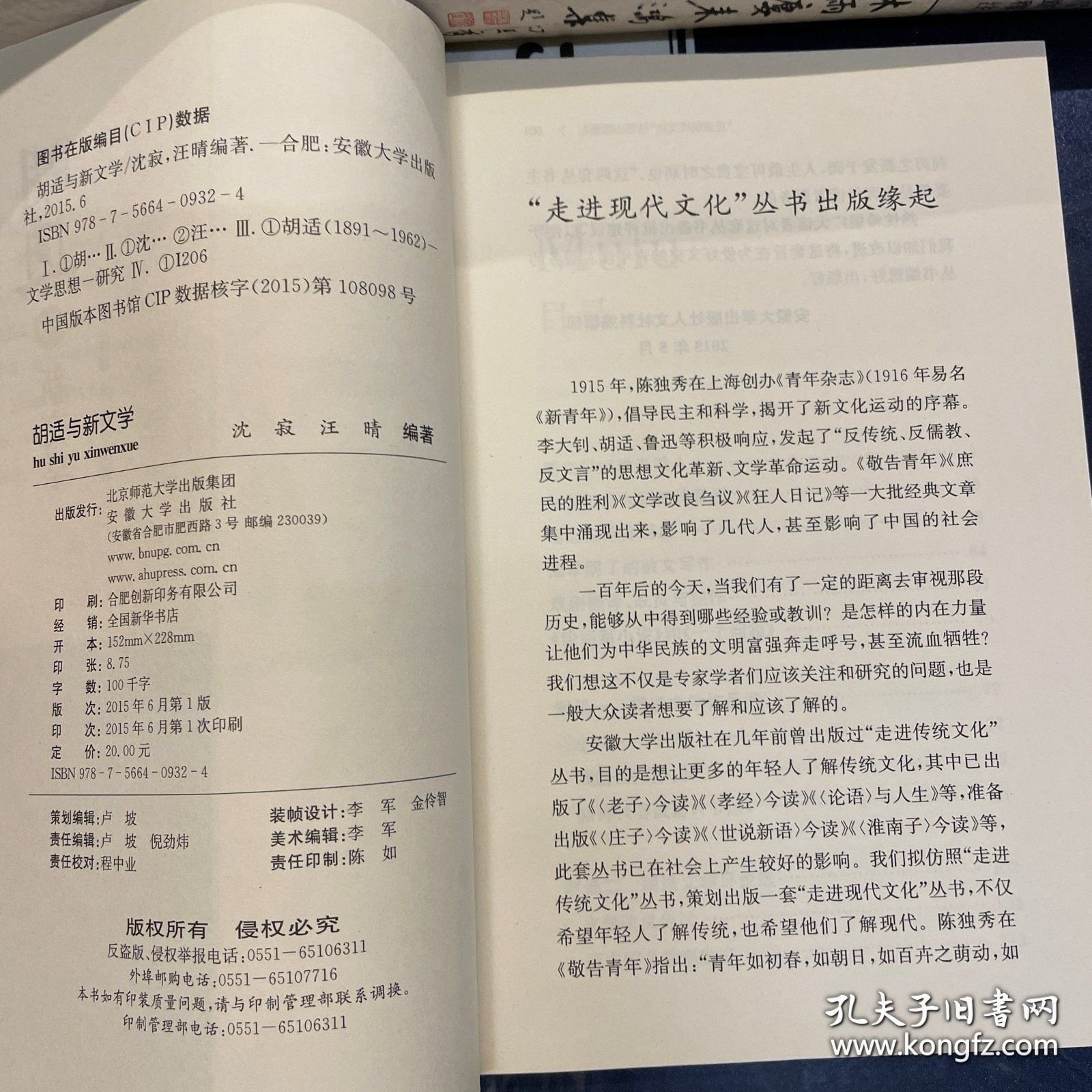 走进现代文化 胡适与新文学