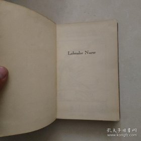 labrador nurse(拉布拉多护士)英文原版