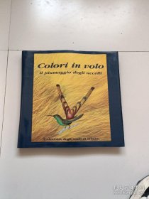 Colori in volo il piumaggio degli uccelli（鸟儿的羽毛在飞翔）