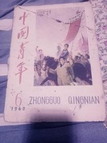 中国青年  1960、6