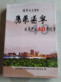 遂宁文史资料 第二十九辑：腾飞遂宁 改革开放40年记事
