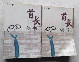 首长秘书（上下册）