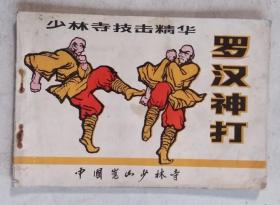 少林寺技击精华：罗汉神打  武松脱铐拳