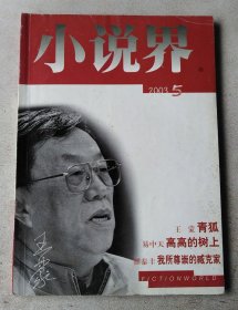 小说界 2003年5期