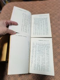 《 金瓶梅词话校注》 （1 2 3 4 四册全）无函套 岳麓书社