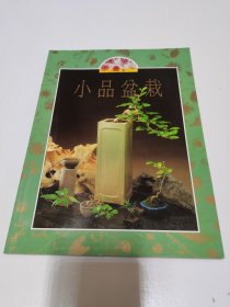 《小品盆栽》（大16开）