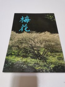 《中华之美 一 梅花》（大16开）