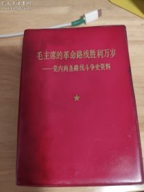毛主席的革命路线胜利万岁 党内两条路线斗争史资料