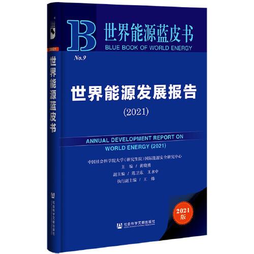 世界能源蓝皮书：世界能源发展报告（2021）