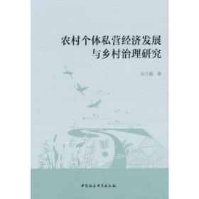 农村个体私营经济发展与乡村治理研究D28B