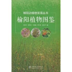 榆阳植物图鉴