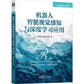 人工智能技术丛书：机器人智能视觉感知与深度学习应用