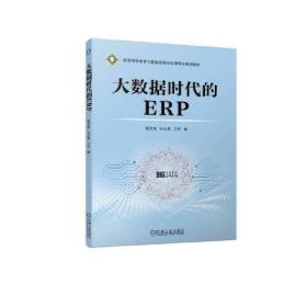 大数据时代的ERP