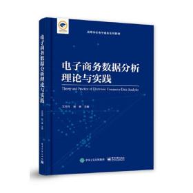 电子商务数据分析理论与实践