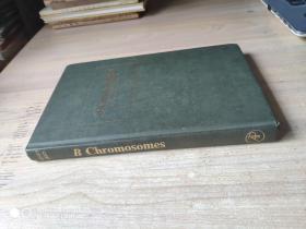 B Chromosomes【具体详情以实物图为准】