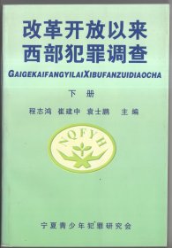 改革开放以来西部犯罪调查  下册