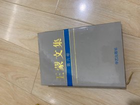 王蒙文集（第六卷）