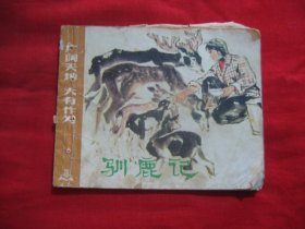 驯鹿记(封底糊了纸)