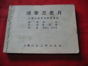 魂牵万里月（缺封面）