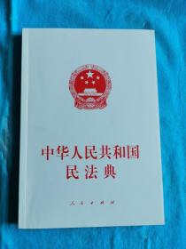 中华人民共和国民法典  （大字本）