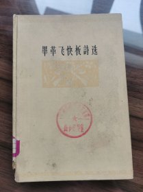 毕革飞快板诗选
