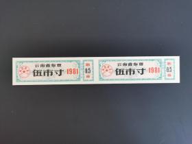 岁月留痕231：1981年云南省布票  伍市寸   2枚联