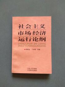 社会主义市场经济运行论纲