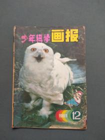 少年科学画报1983年第12期