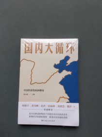 国内大循环（全新未拆封）