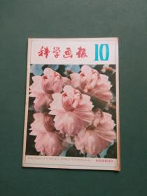 科学画报1981年第10期