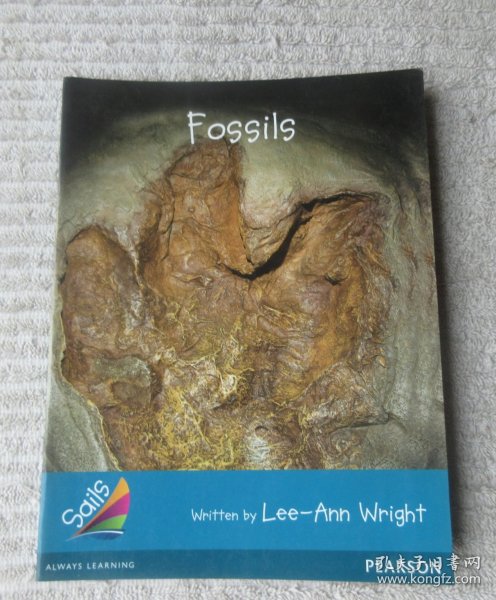 Fossils（Sails Informational Explanation）