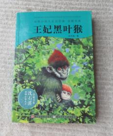 动物小说大王沈石溪品藏书系：王妃黑叶猴