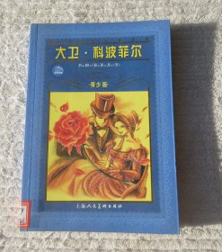 世界文学名著宝库：大卫·科波菲尔（青少版）