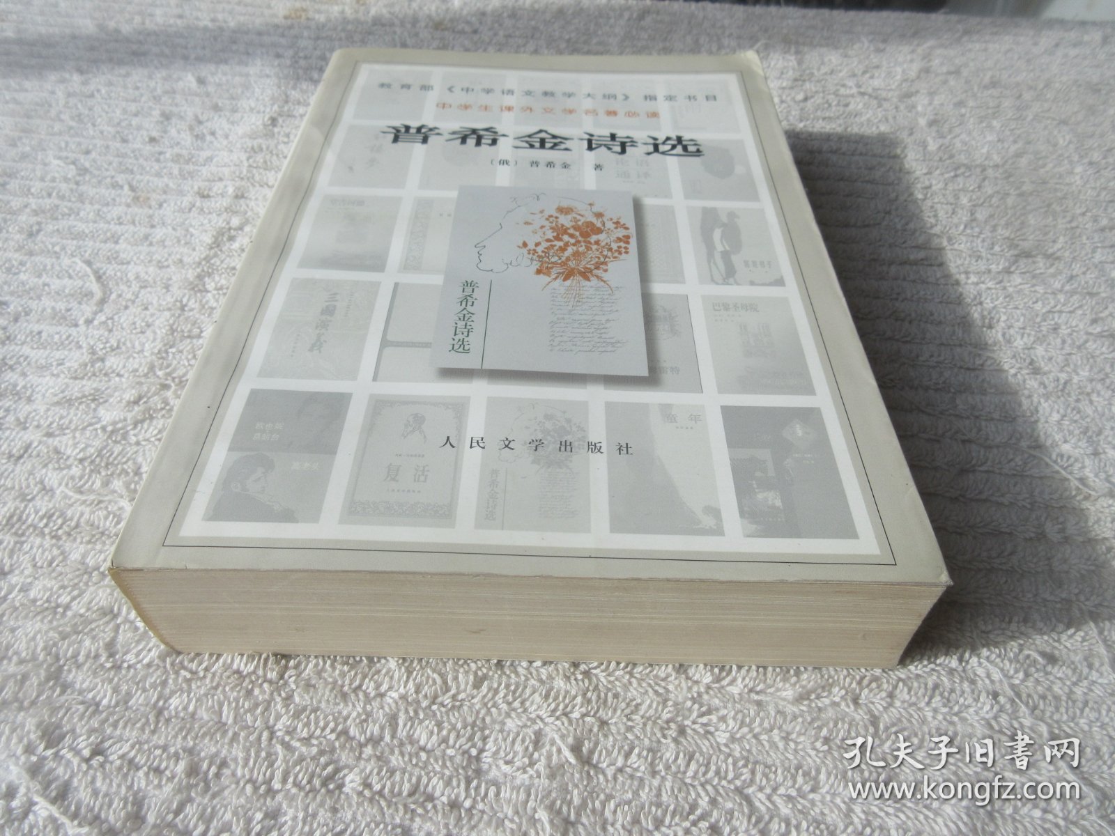 普希金诗选 （中学生课外文学名著）