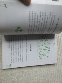 森林报·春 夏 秋 冬（双色纪念版）4本合售