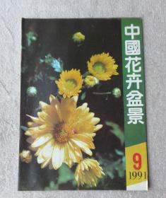 中国花卉盆景1991年第9期