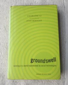 Groundswell: Winning in a World Transformed by Social Technologies [精装]