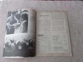 新观察 1984年第17期