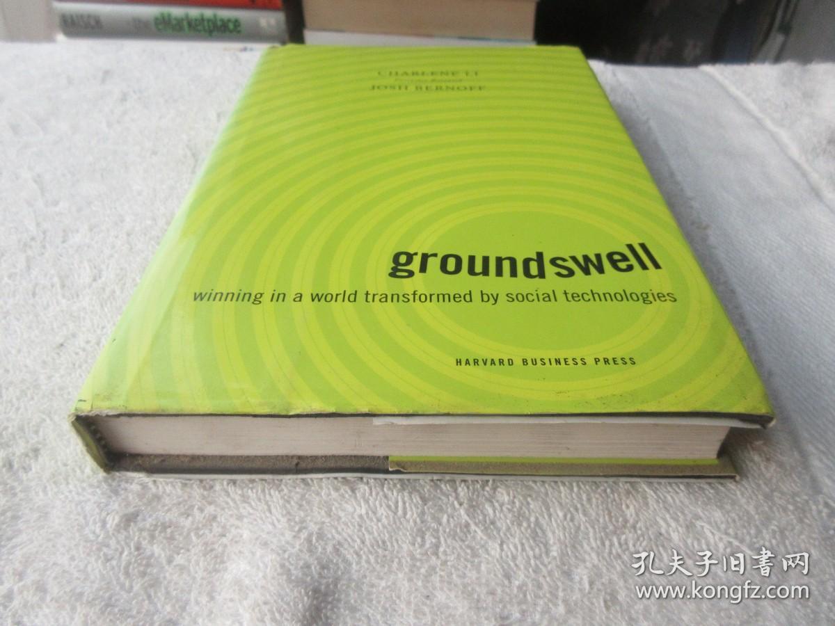 Groundswell: Winning in a World Transformed by Social Technologies [精装]