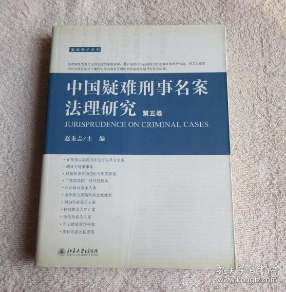 中国疑难刑事名案法理研究（第5卷）