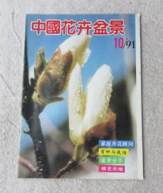 中国花卉盆景1991年第10期