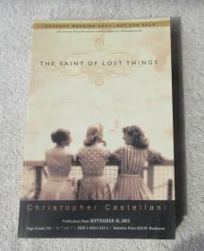 The Saint of Lost Things : A Novel